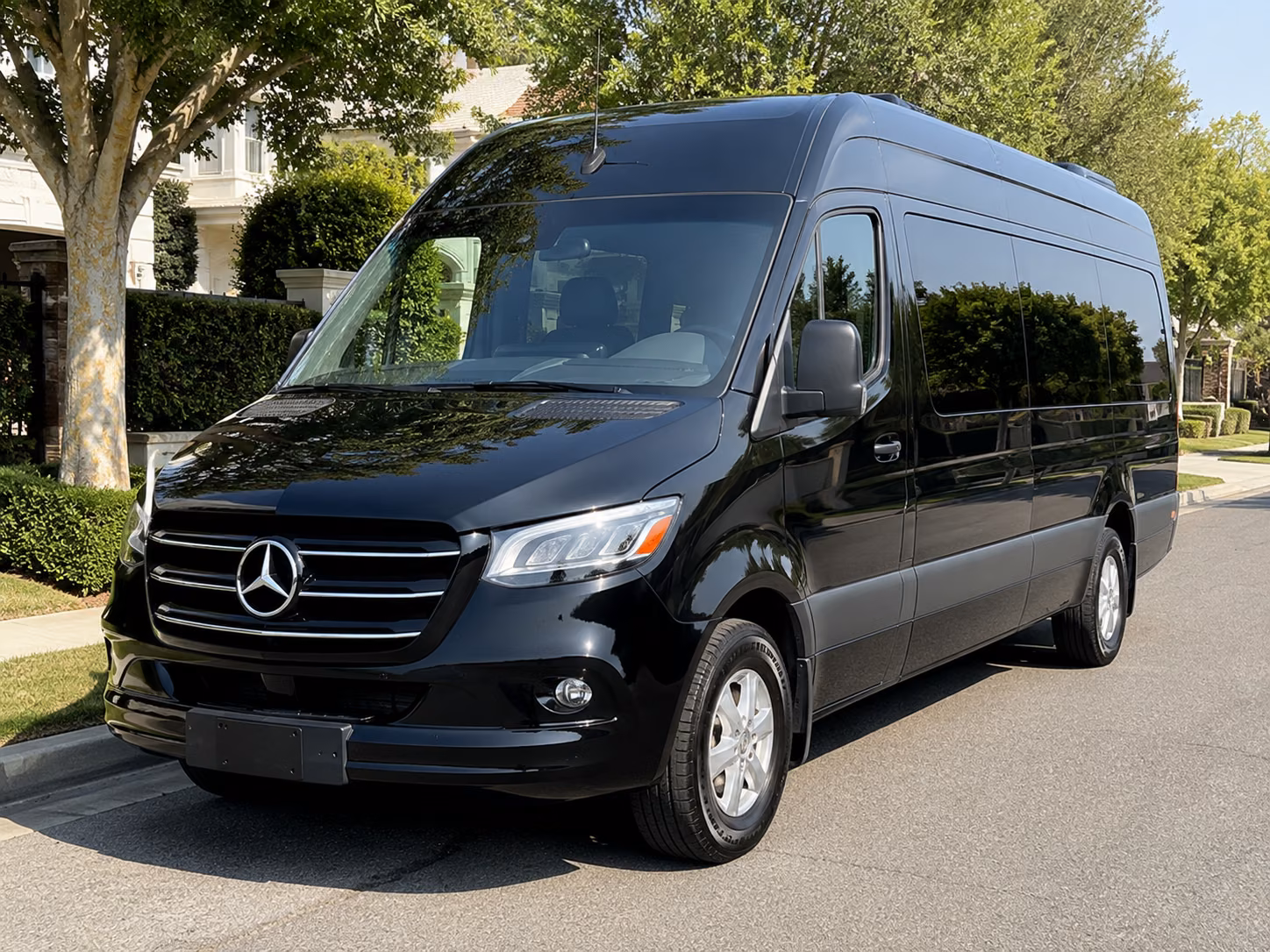 tallahassee 15 passenger sprinter van